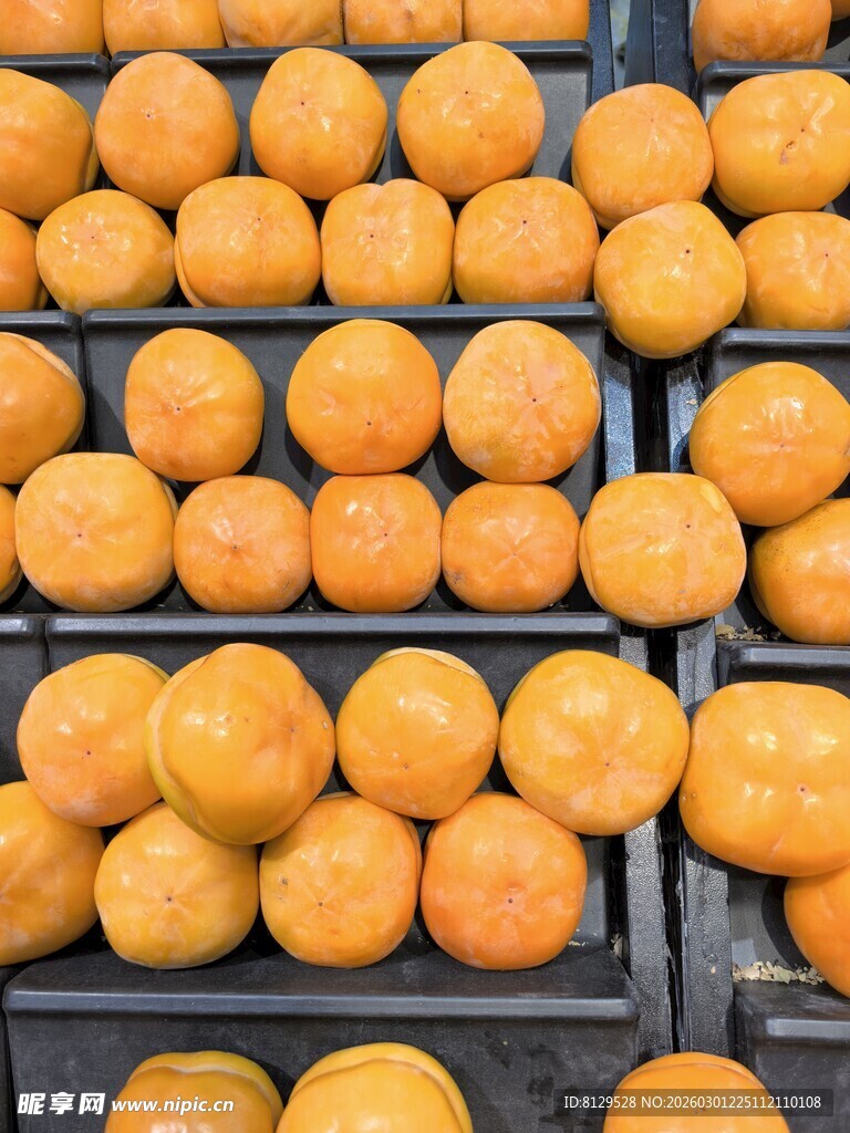 整齐摆放的新鲜橙子