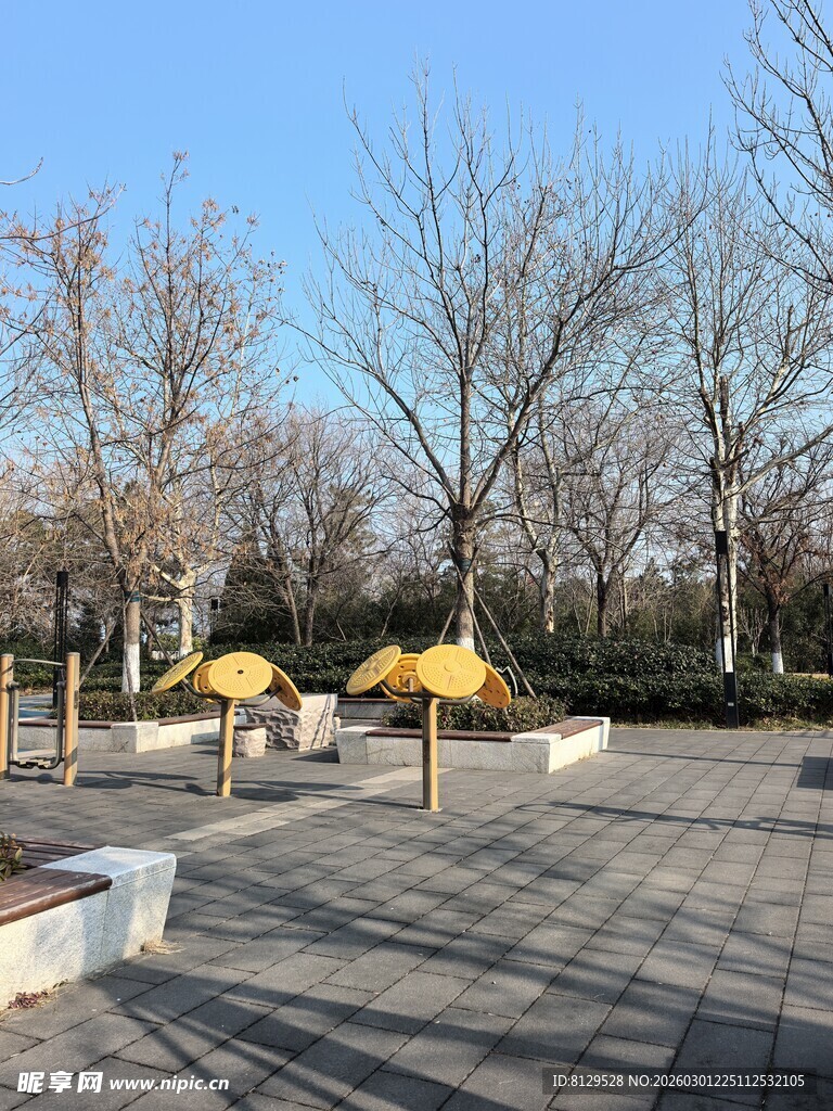 冬日公园空旷休闲场景