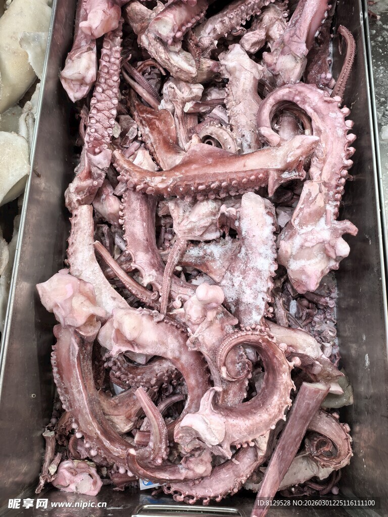 冷冻章鱼触手待售