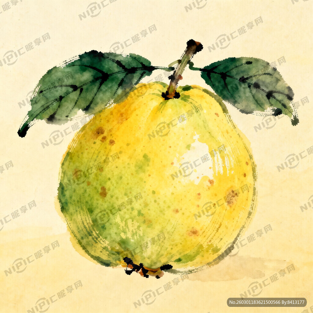 手绘番石榴插画