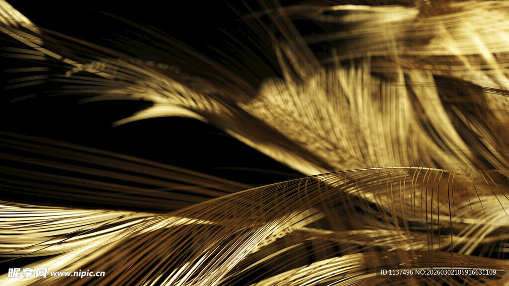 金色羽毛纹理 奢华质感