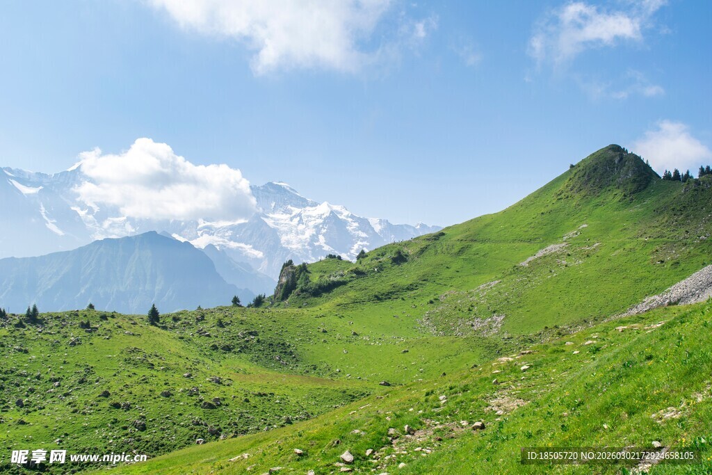 高山绿野间的壮丽风光