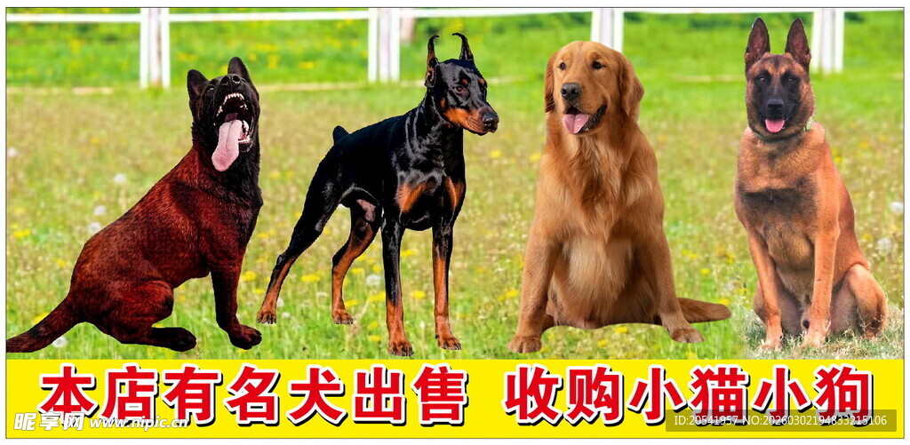 名犬海报