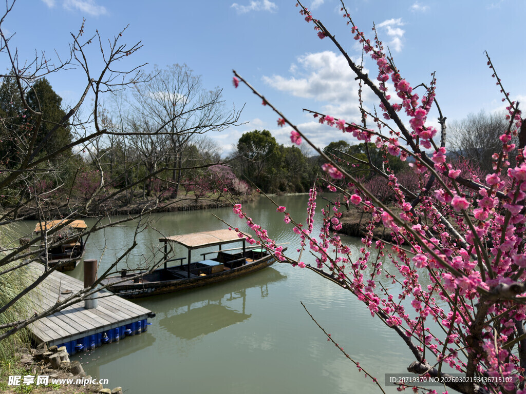 春日湖畔小船与盛开桃花
