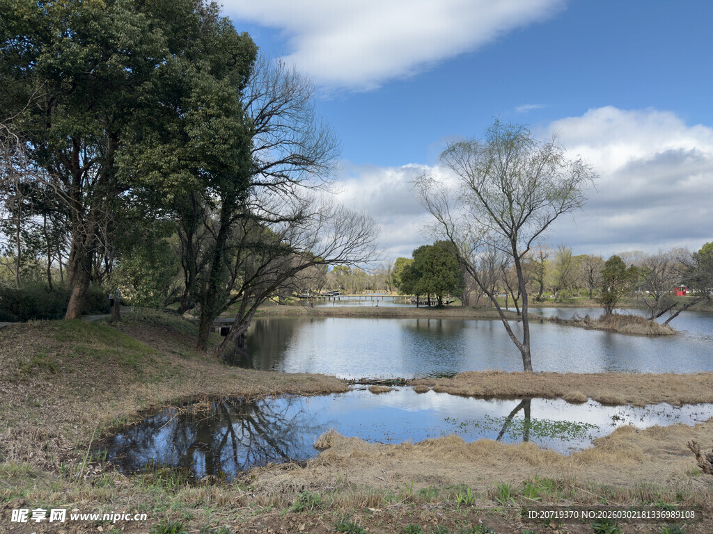 湖畔自然风光美景