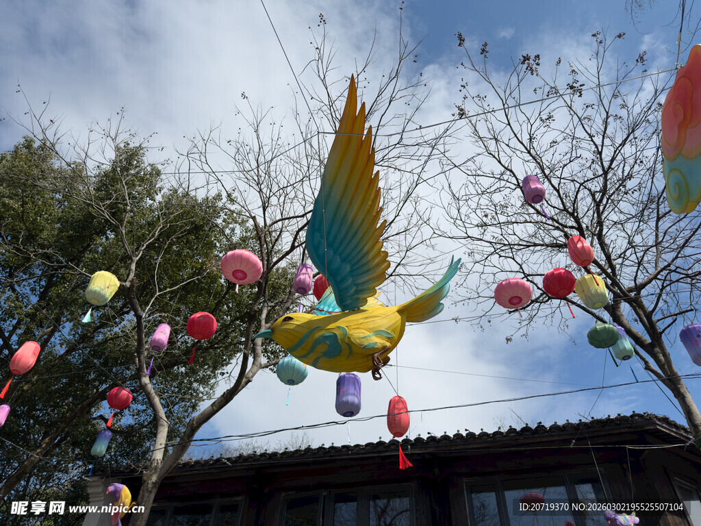 树上悬挂的多彩灯笼