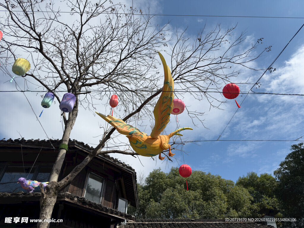 树上悬挂的多彩灯笼