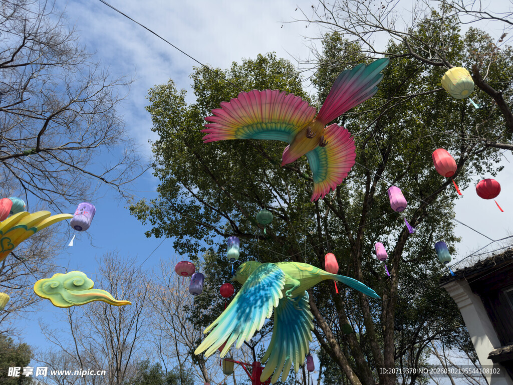 树上悬挂的多彩灯笼