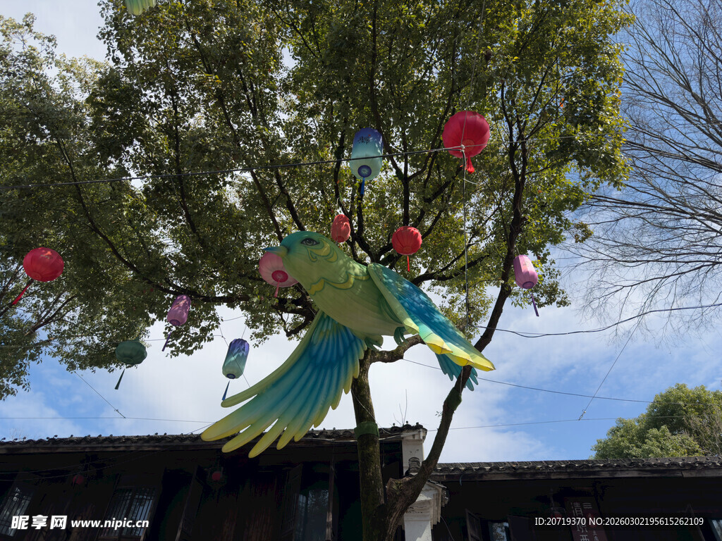 树上悬挂的多彩灯笼