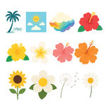 花卉与风景图案