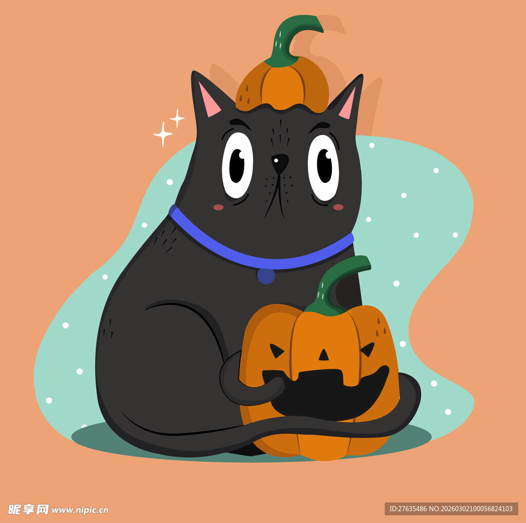 黑猫抱南瓜的可爱画面