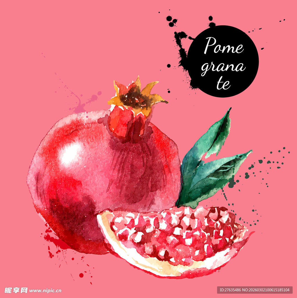 水彩绘石榴
