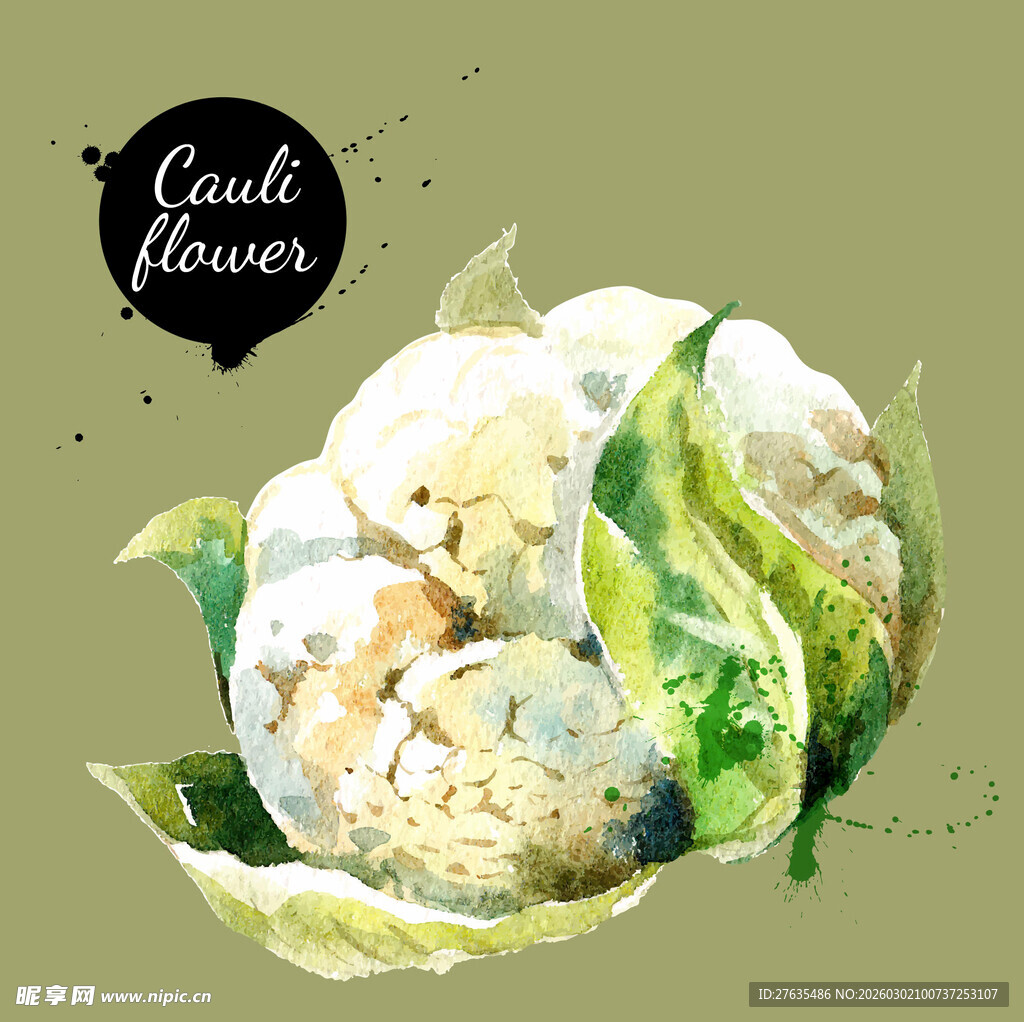 水彩绘花椰菜