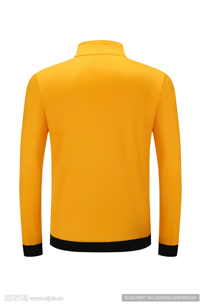 黄色立领夹克背面展示