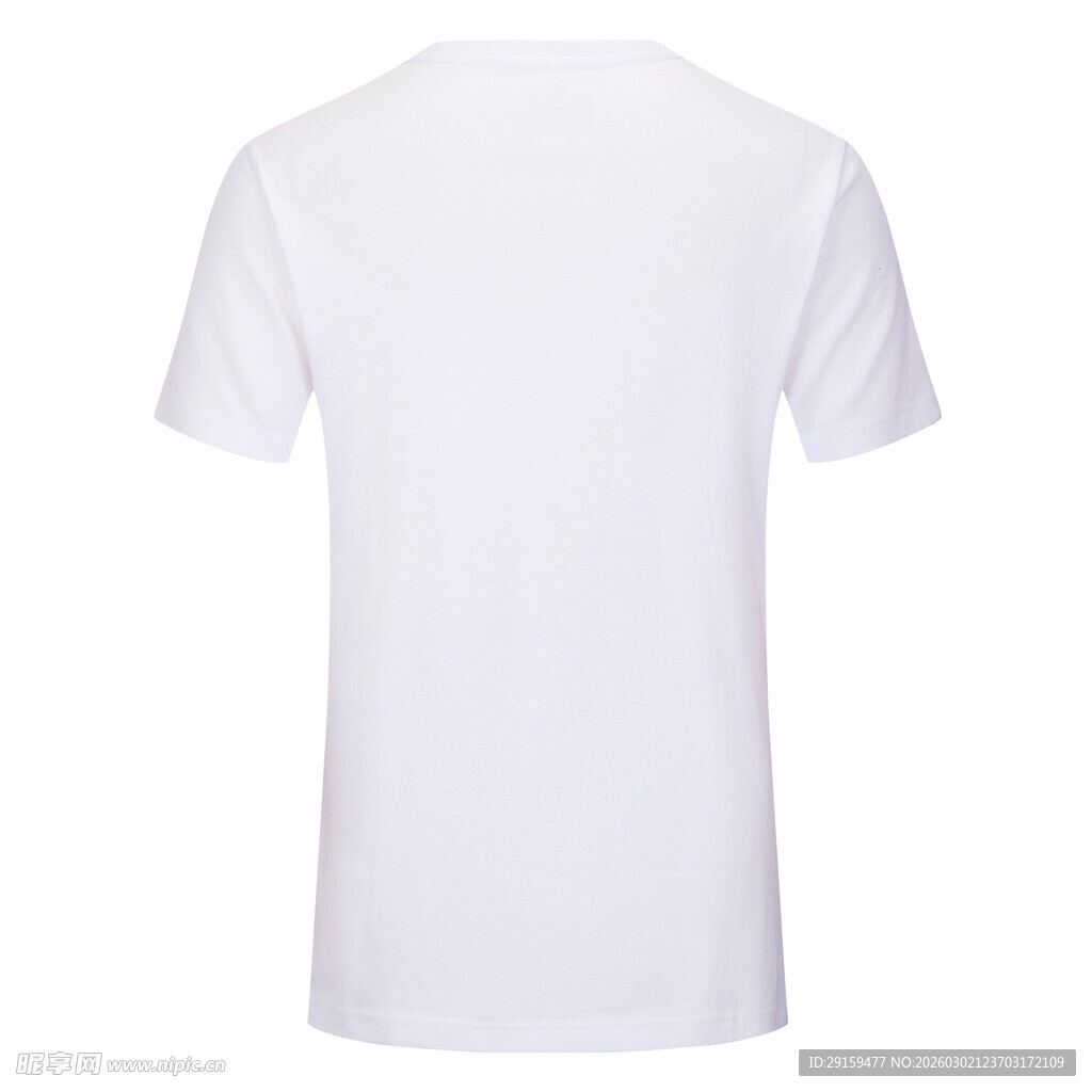 白色短袖T恤背面展示