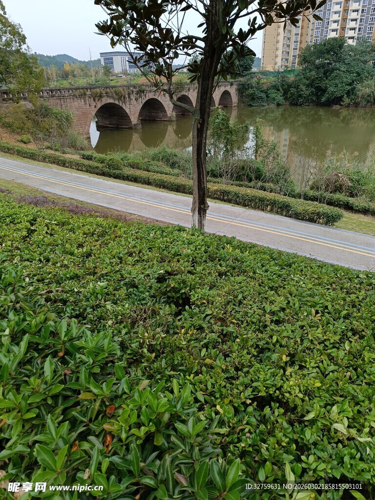 河畔绿植与石桥风景