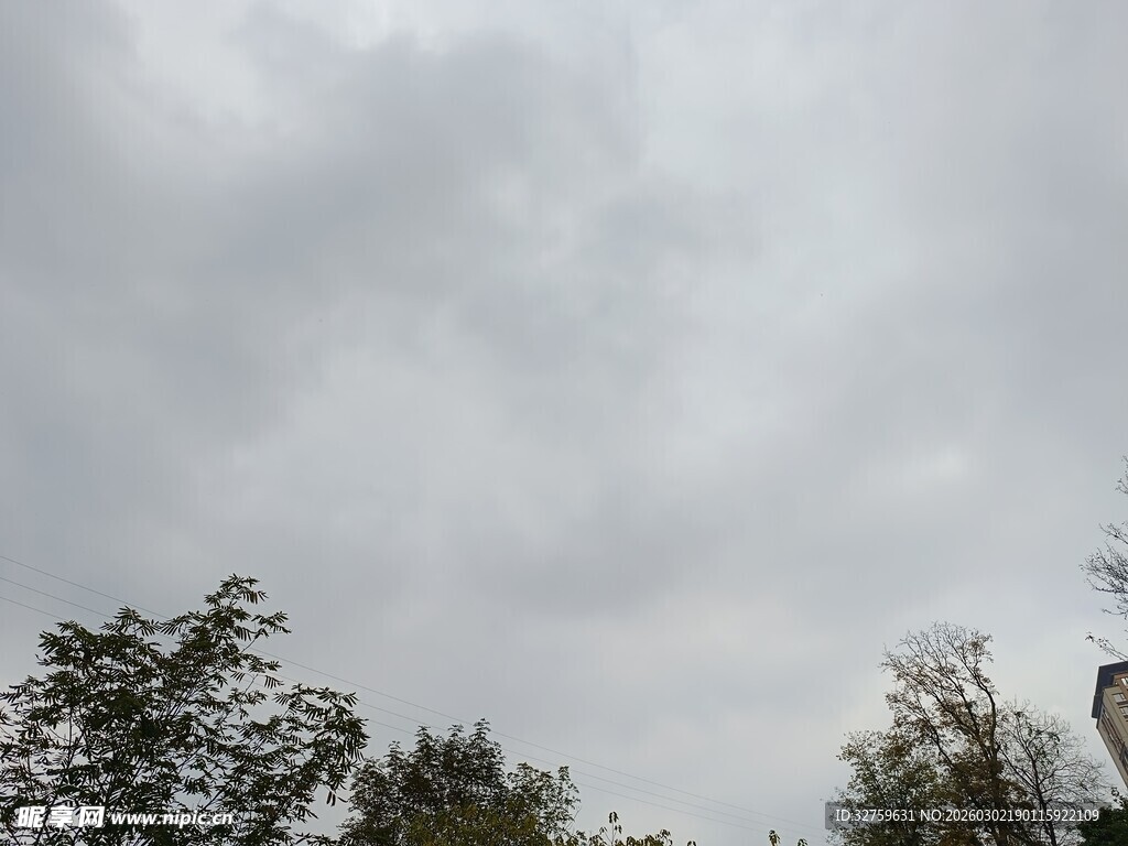 阴天树林中的人物景观