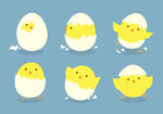 小鸡图案