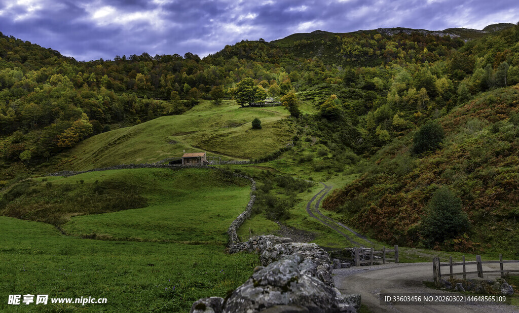 山间绿野小径风景