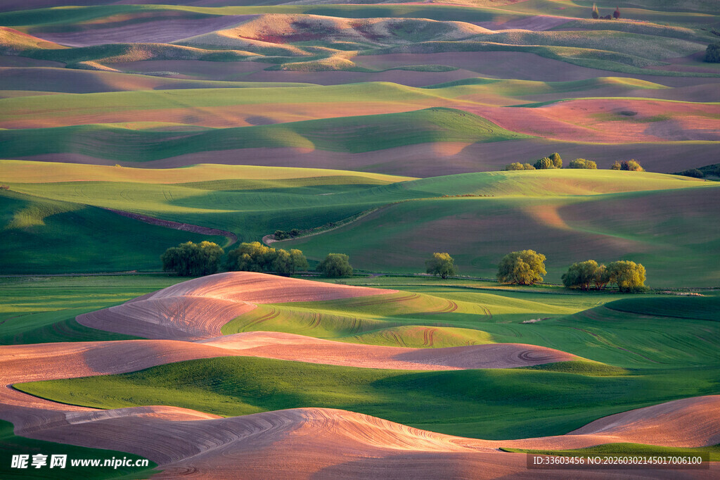 五彩斑斓的田园风光