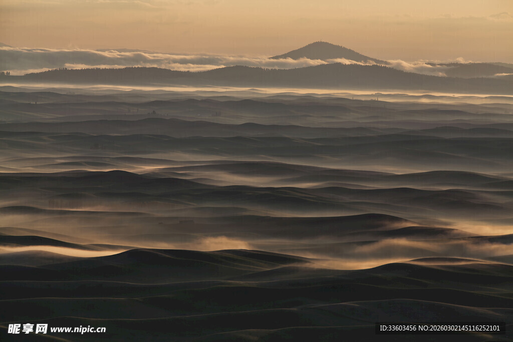 黄昏下起伏的广袤原野