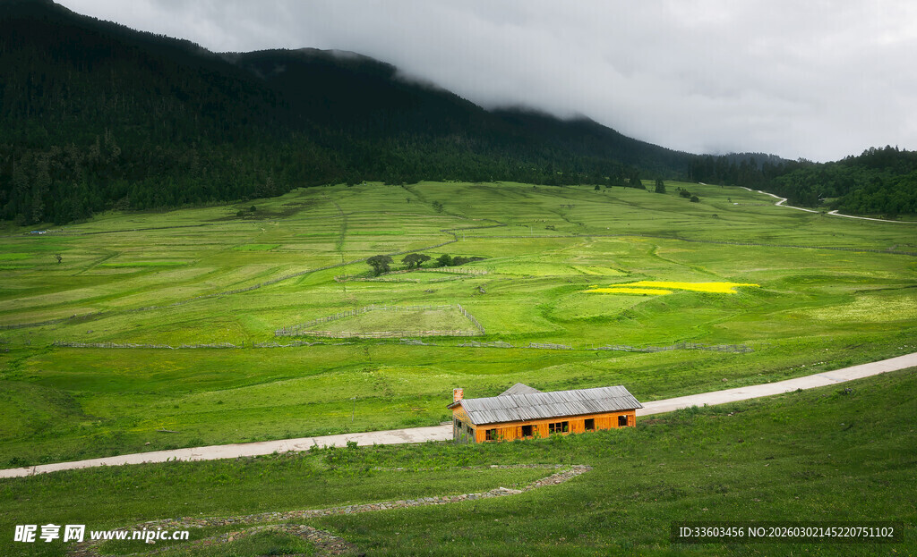 山间公路旁的美丽田园风光