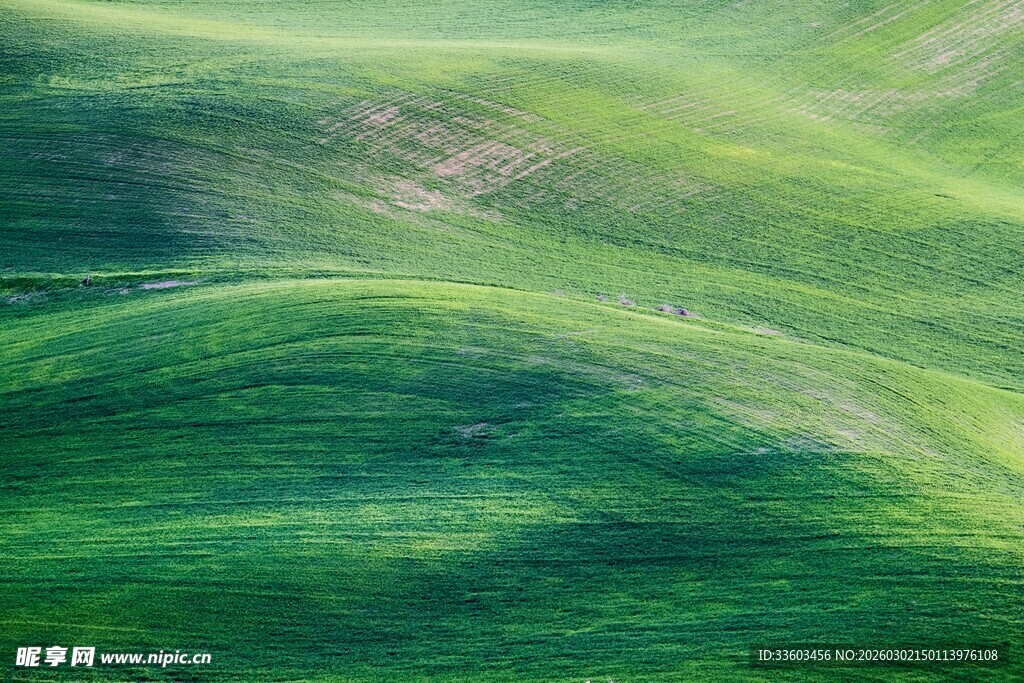 翠绿起伏的美丽山丘