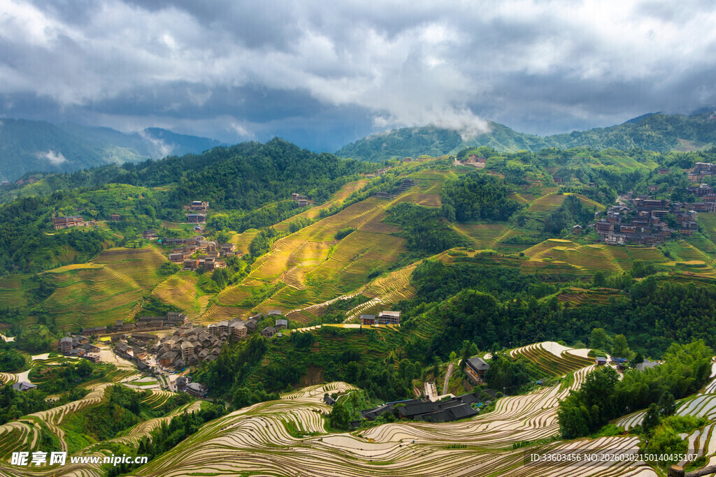 壮丽梯田景观