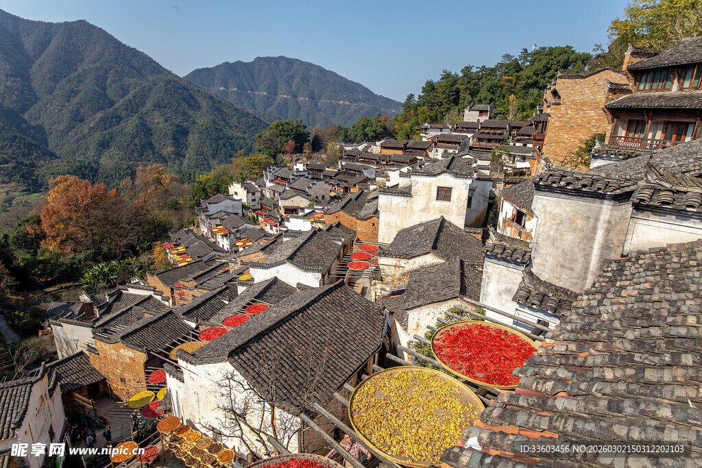 皖南古村秋日晒秋景致
