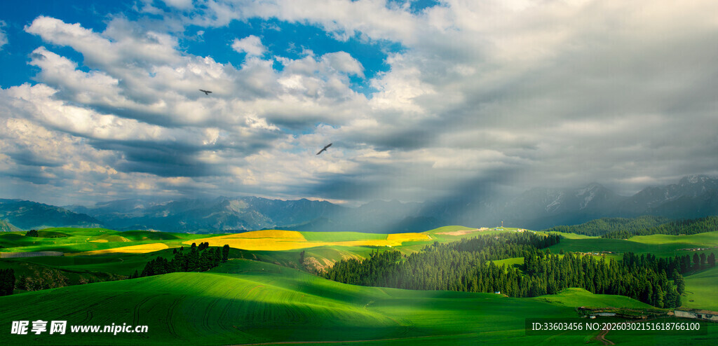 阳光穿透云层下的绿野风光