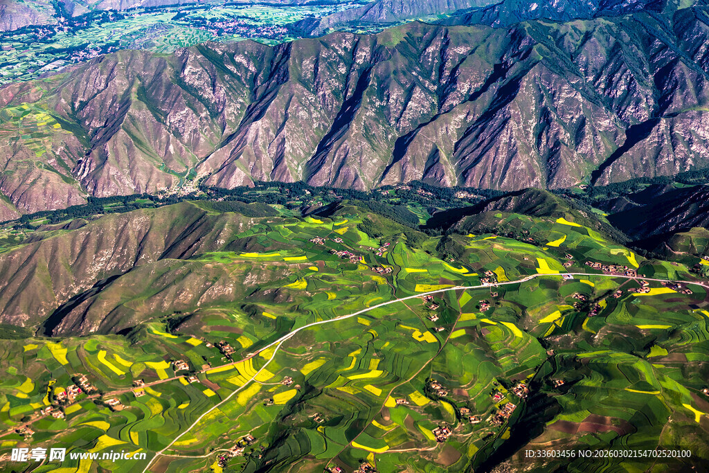 山间黄花点缀壮丽峡谷