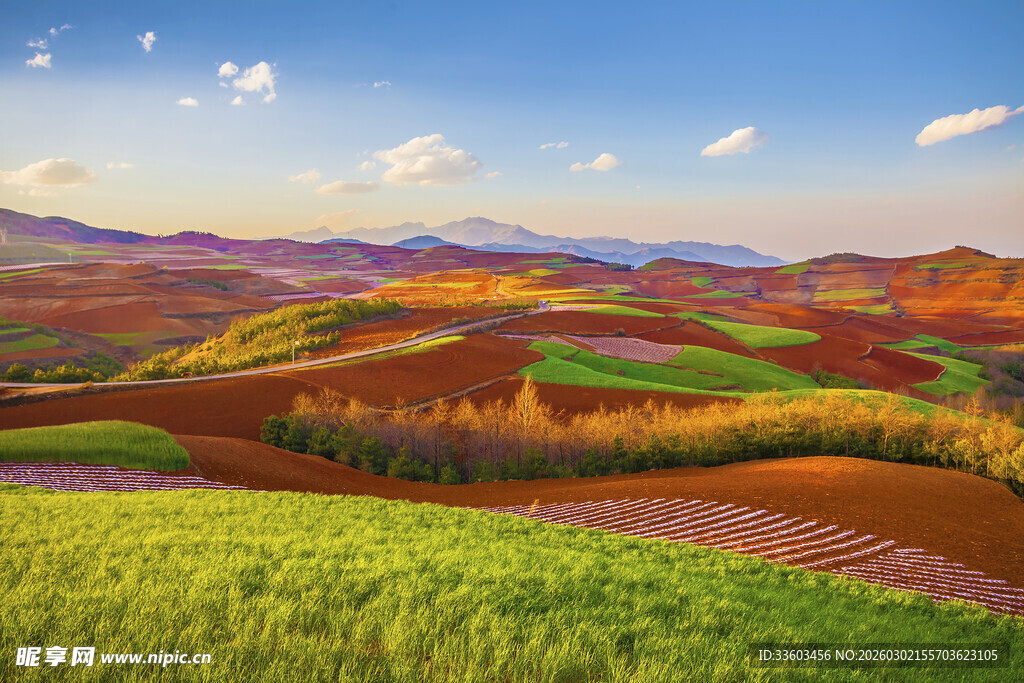 多彩田园风光美景