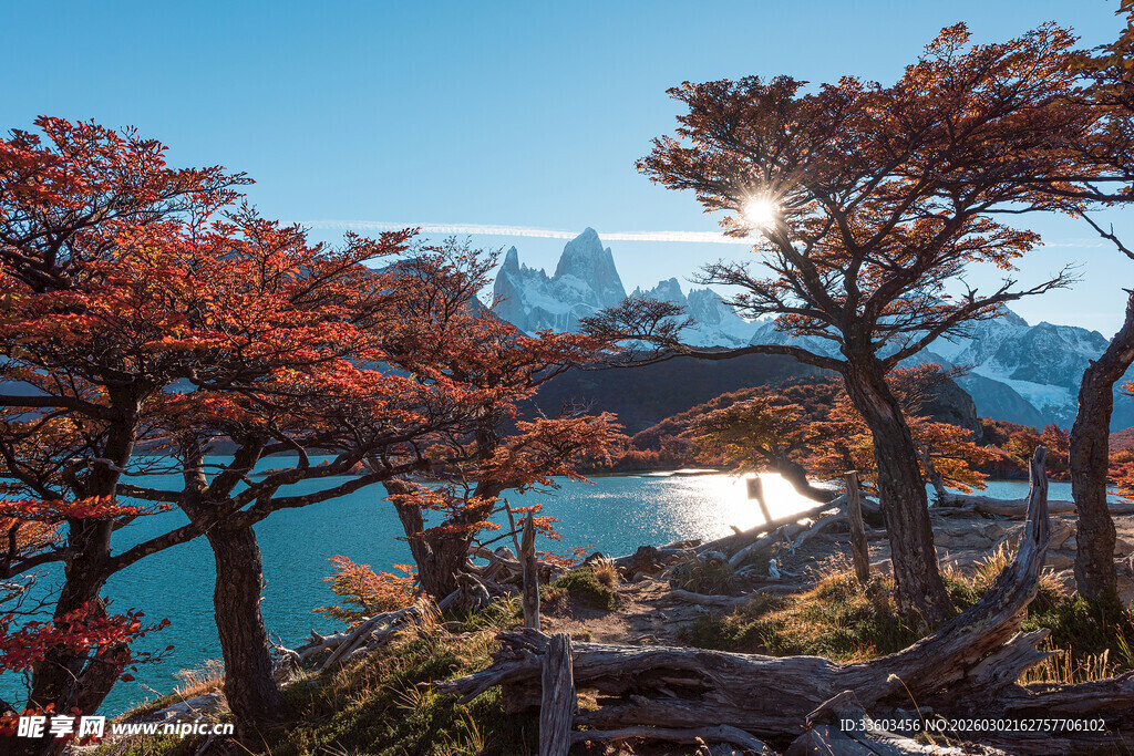 湖畔红叶与远处巍峨雪山