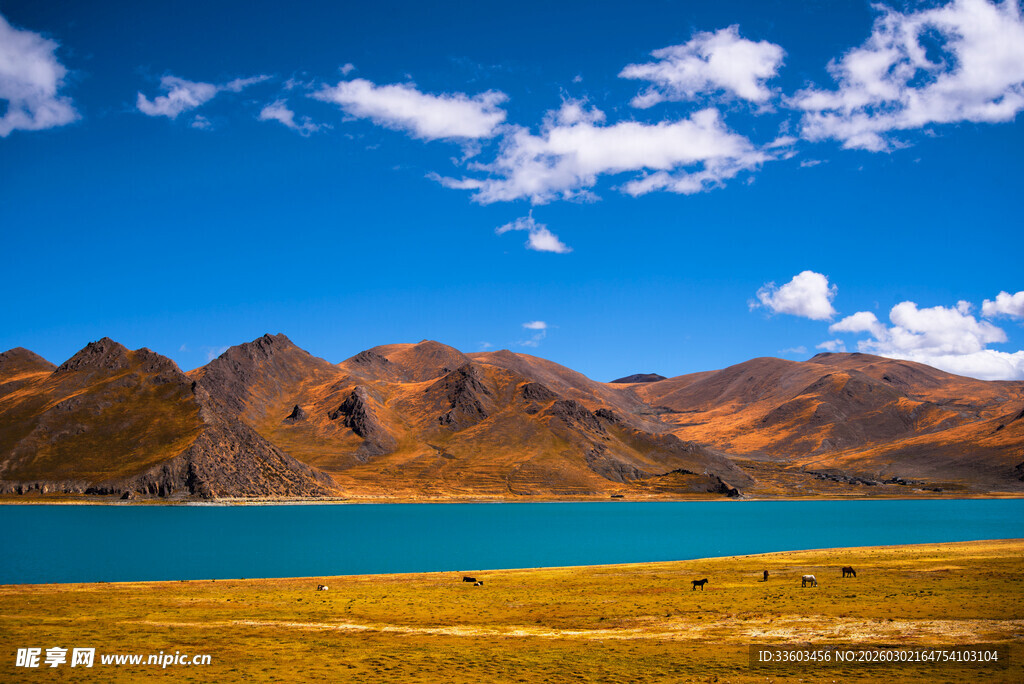 高原湖畔壮美风光