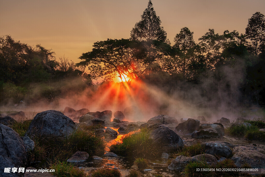 日出山林间的梦幻美景