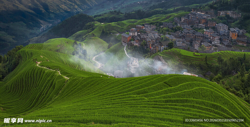 翠绿梯田间的乡村美景