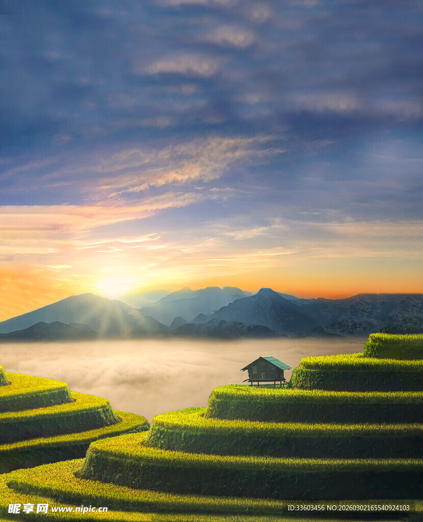 日出下的梯田美景