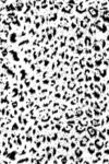 豹纹图案纹理背景图