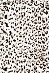 豹纹图案纹理背景图