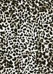 豹纹图案纹理背景
