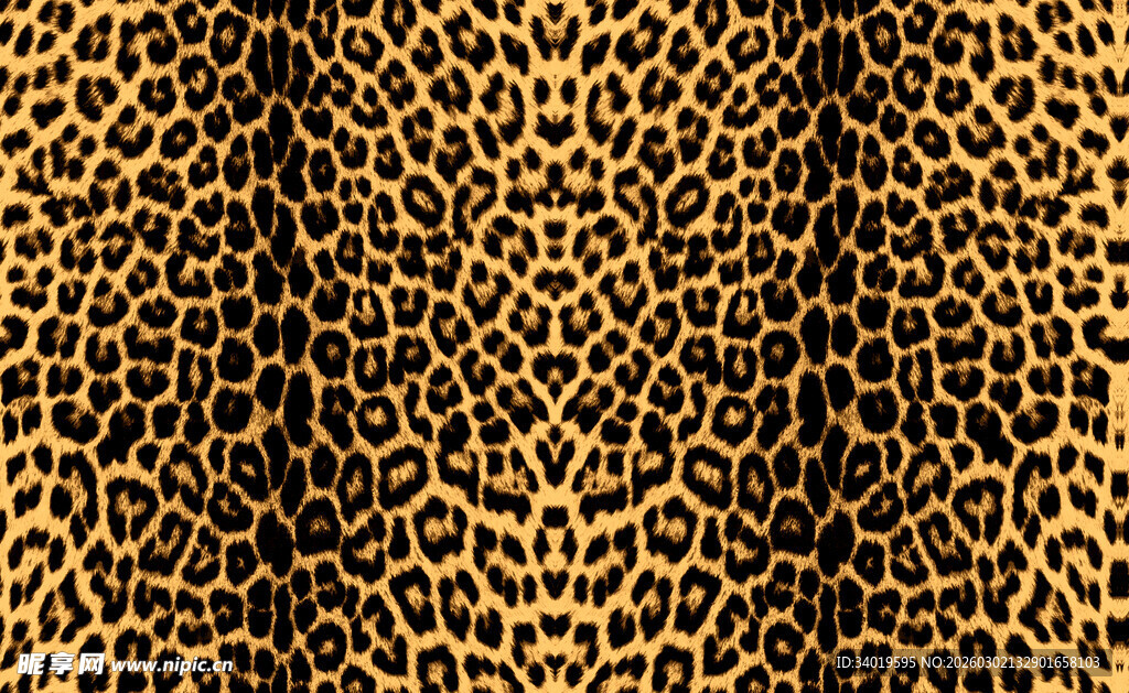 豹纹图案纹理背景图