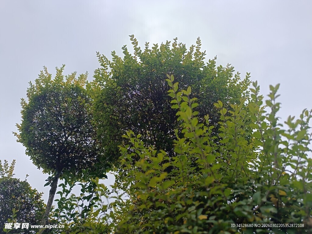 造型独特的绿植景观