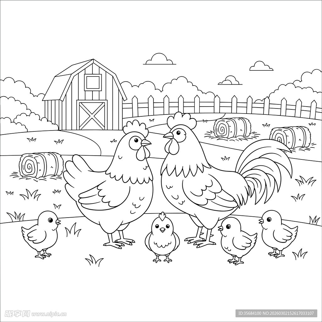 农场鸡群线稿