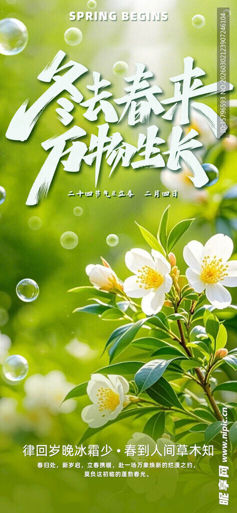 清新茉莉花绽放绿意间