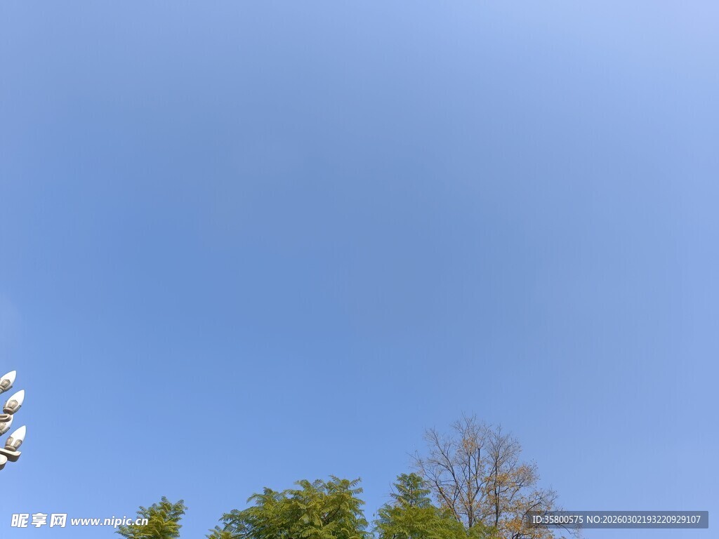 蓝天绿树自然景致