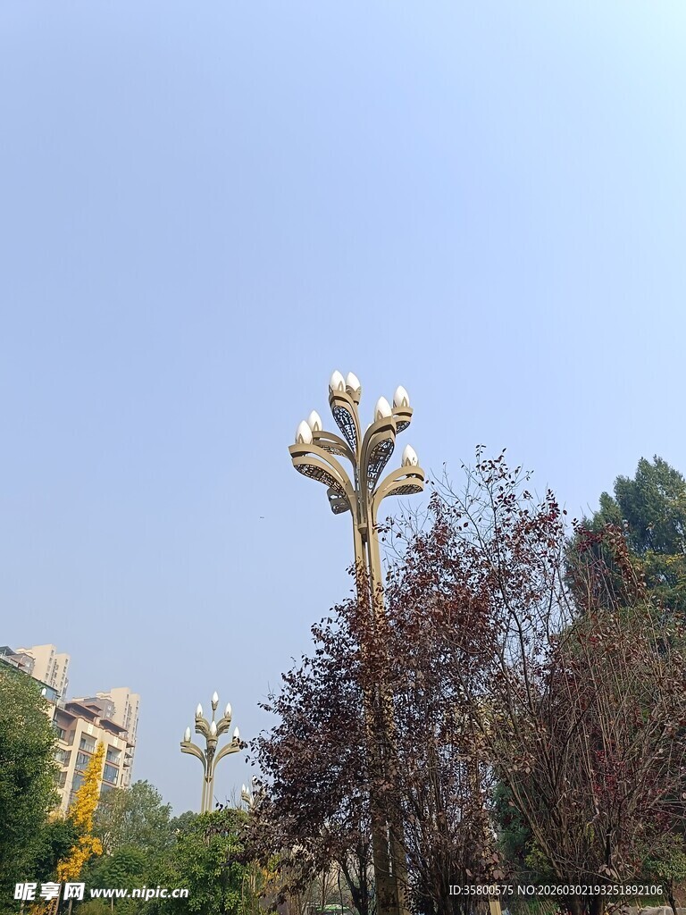 户外奇特造型植物景观