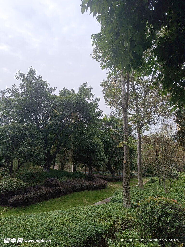 绿意盎然的户外园林景观