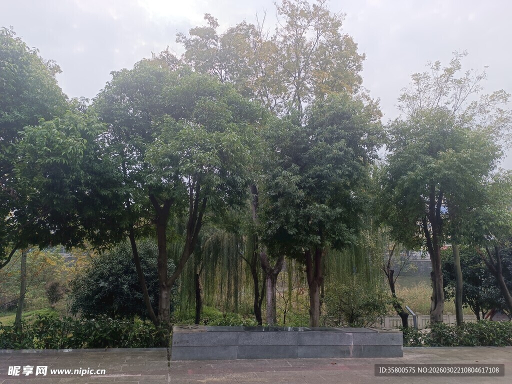 林间景致