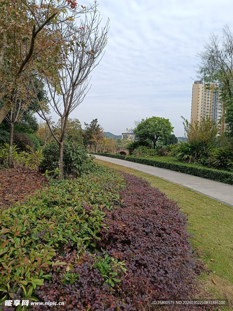 城市中的绿植景观小径