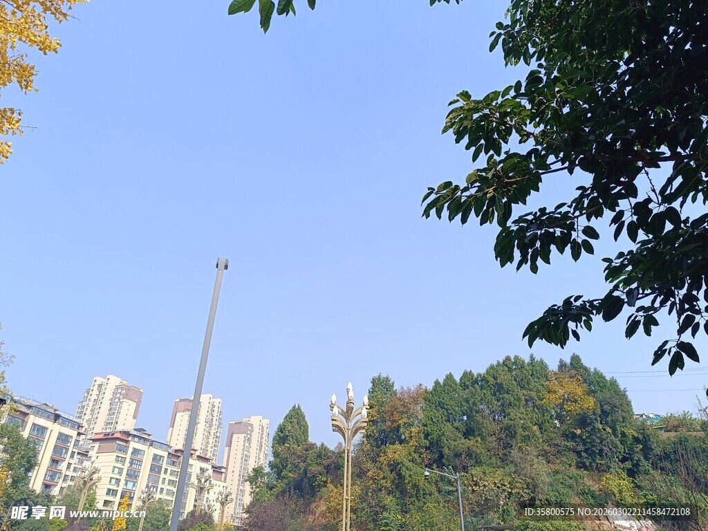 城市与绿树相映的景致